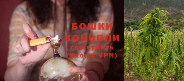 эйфоретик Осинники