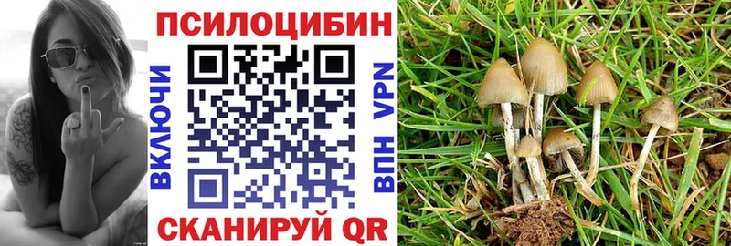 купить наркотик  Бавлы  Псилоцибиновые грибы GOLDEN TEACHER 
